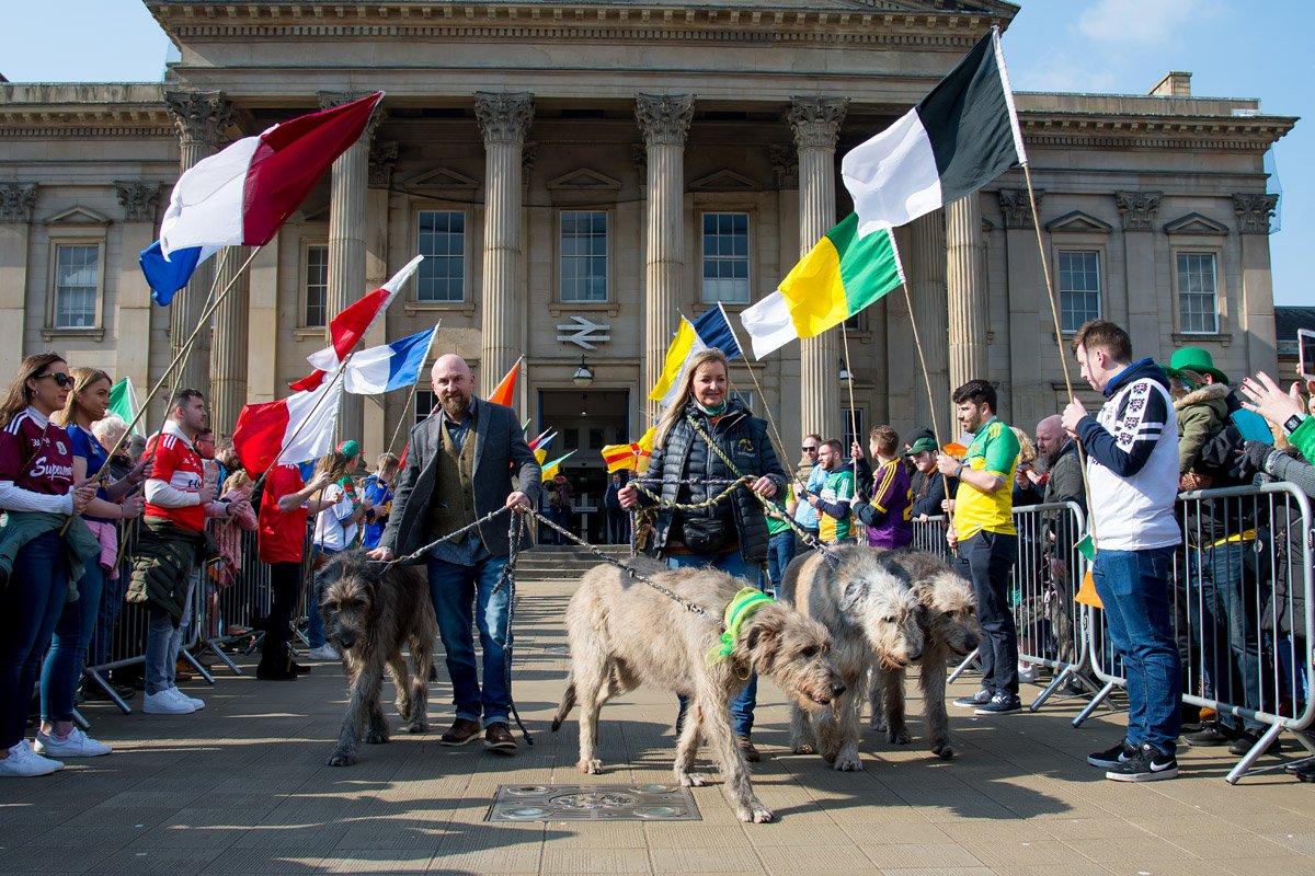 The Austonley Irish Wolfhounds